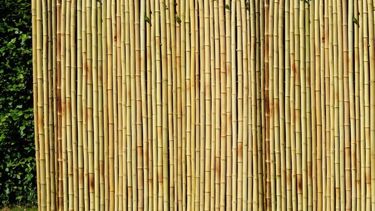 Gambar Pagar Bambu