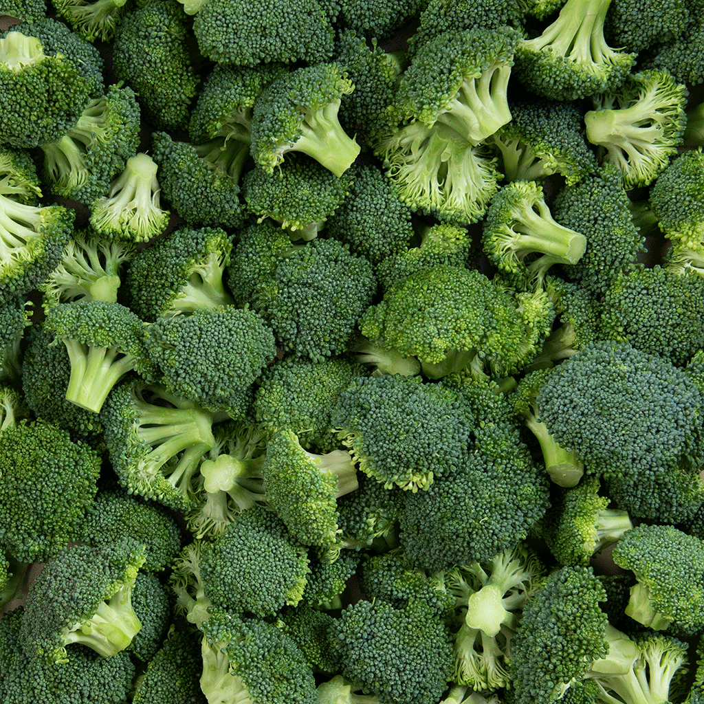 Memilih Varietas Brokoli Untuk Penanamannya