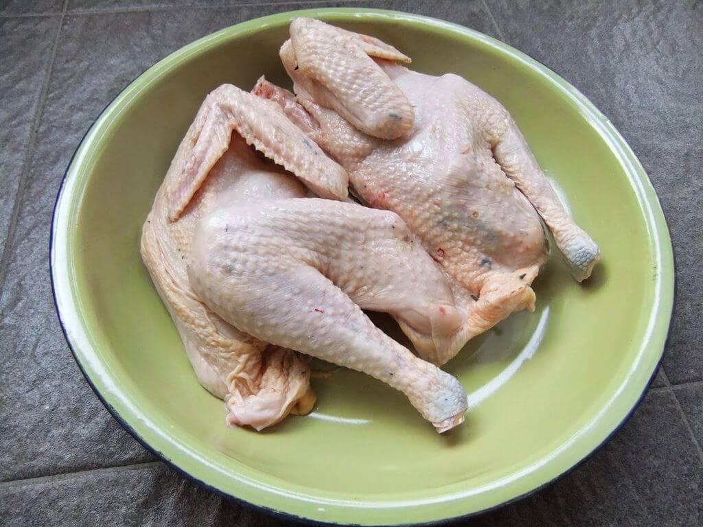 Ayam KampungLebih Sehat