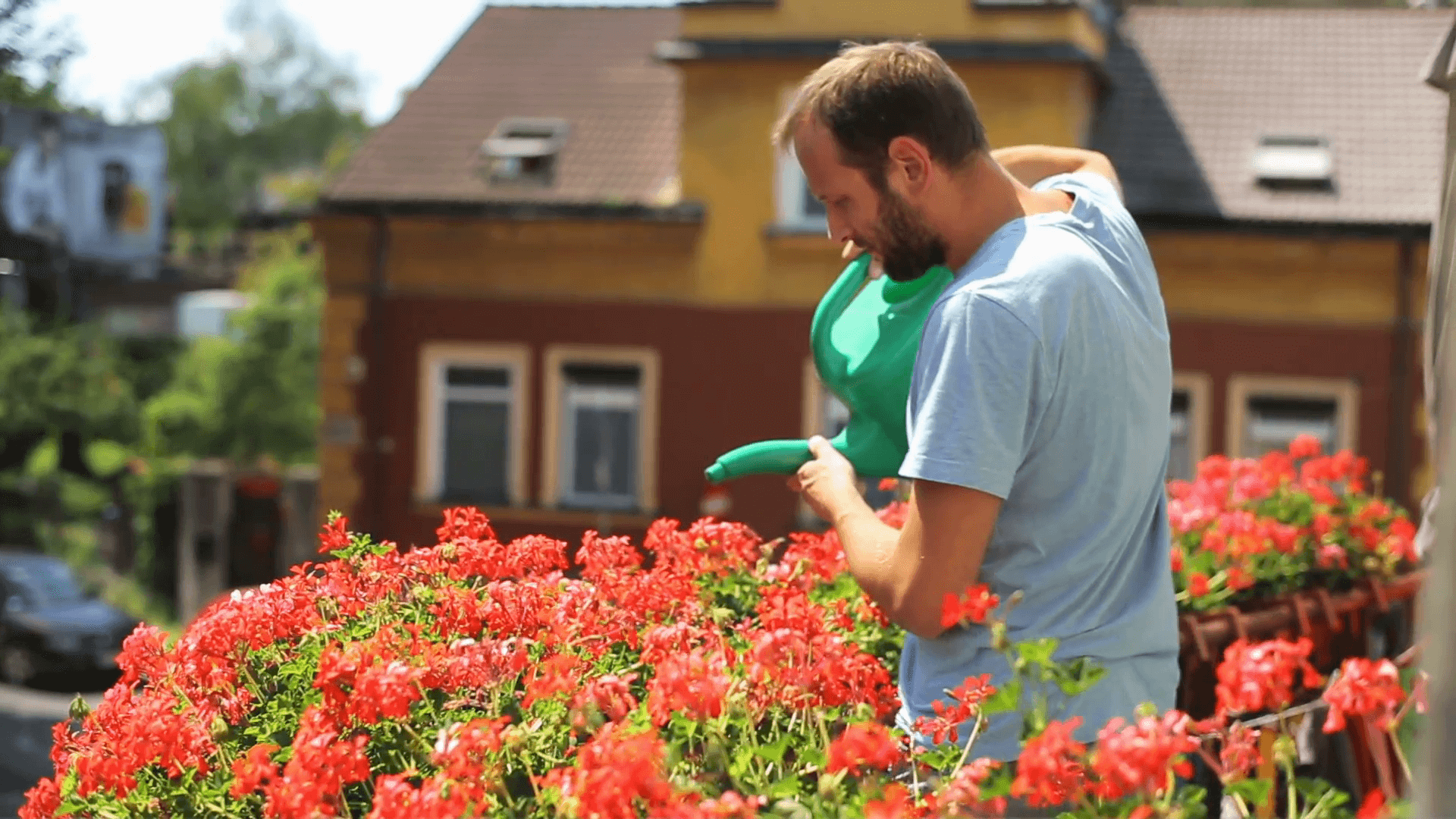 7 Cara  Merawat  Bunga  di Halaman Rumah yang Baik dan Benar